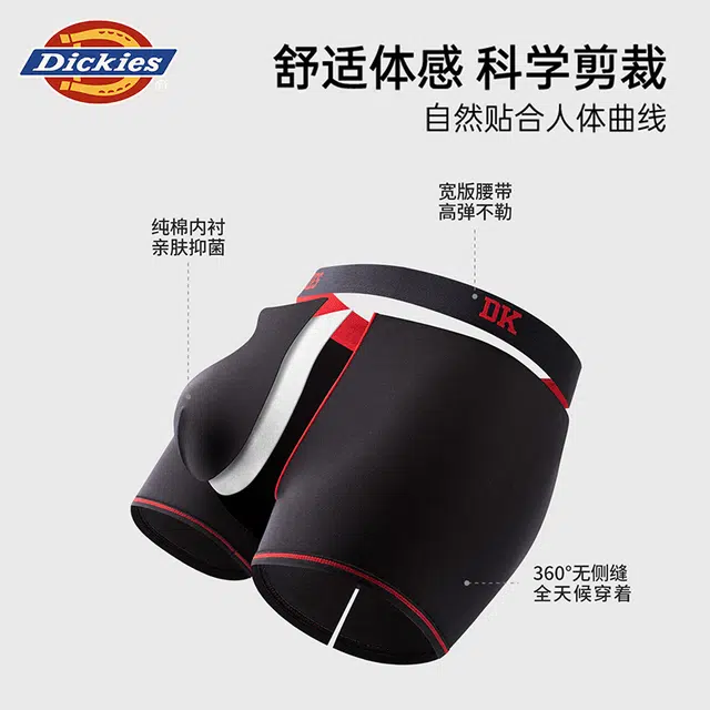 Dickies 3