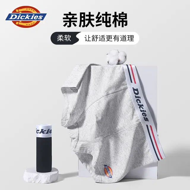 Dickies logo