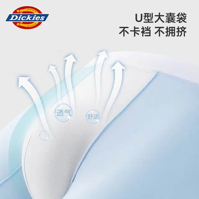 Dickies 3