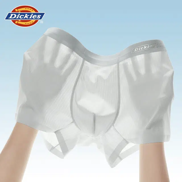 Dickies