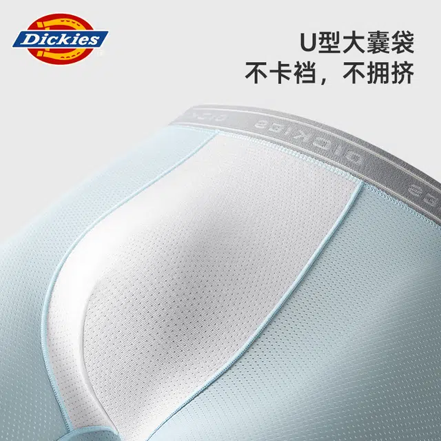 Dickies 3