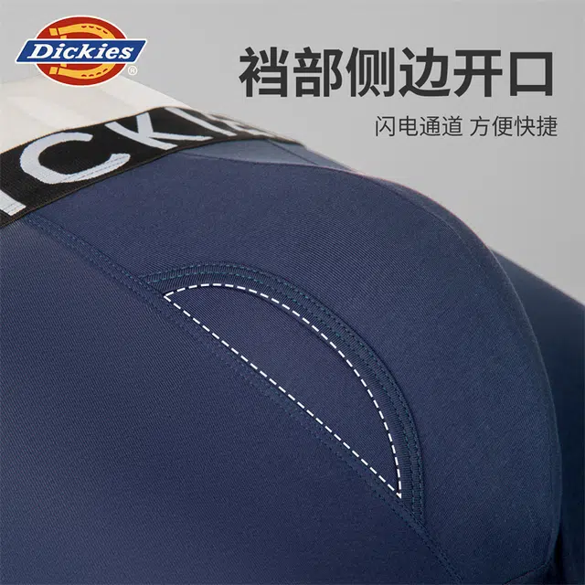 Dickies
