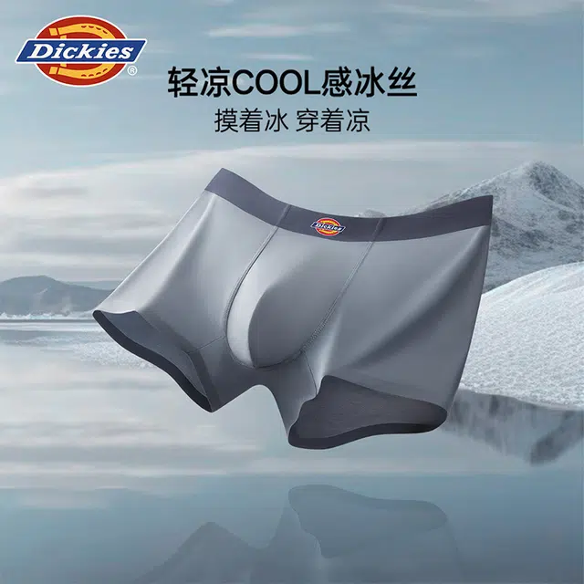 Dickies 100 3