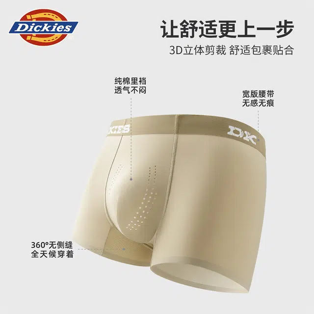 Dickies 3
