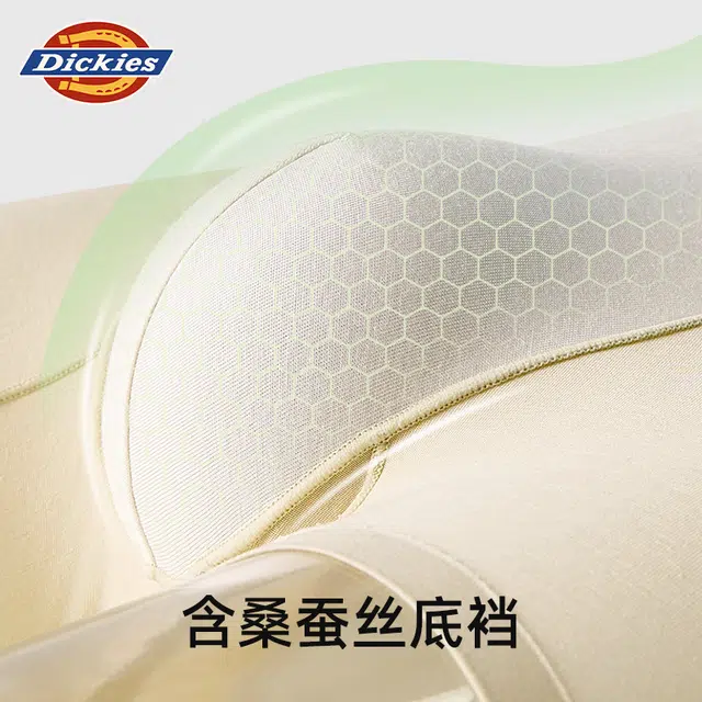Dickies 3