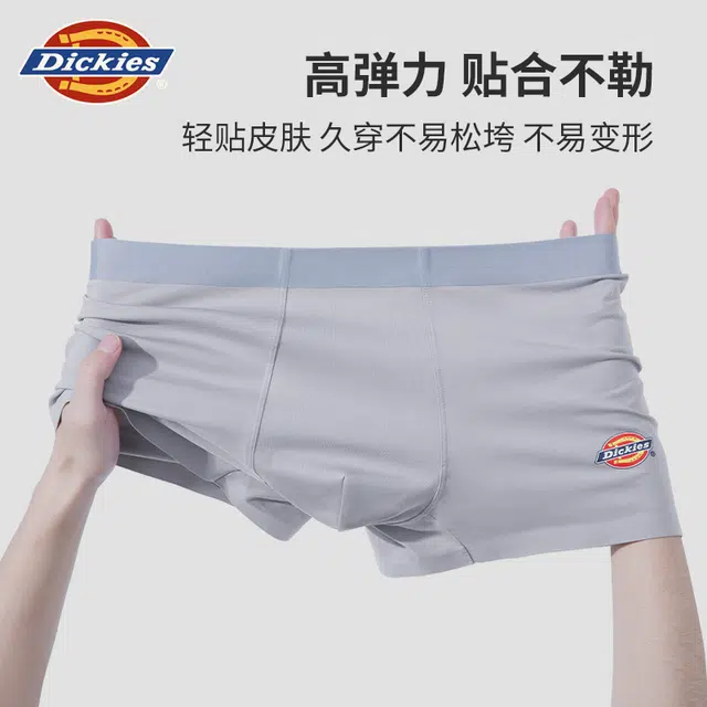 Dickies 3