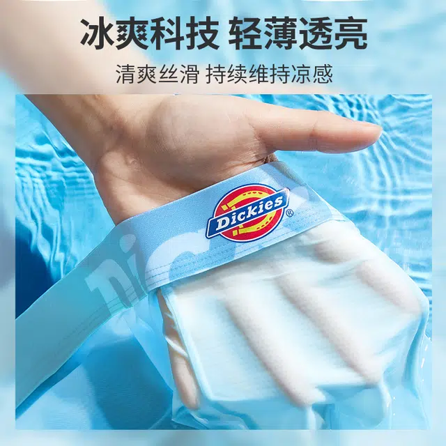 Dickies 3