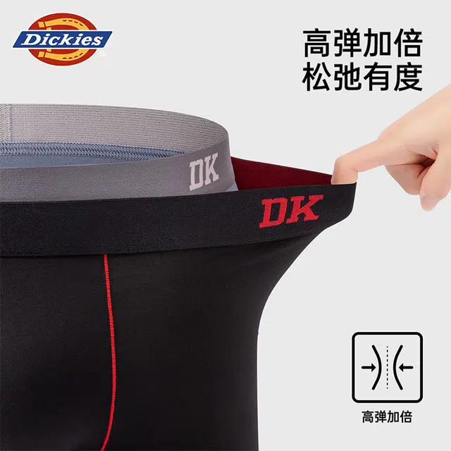 Dickies 3