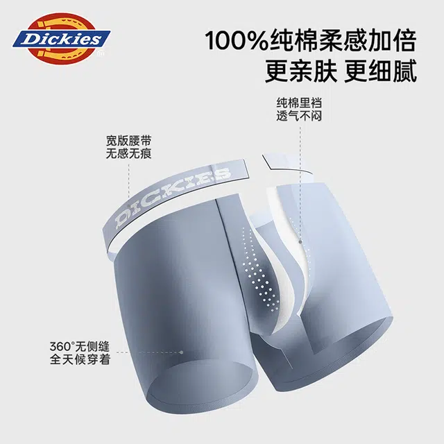 Dickies 100 3