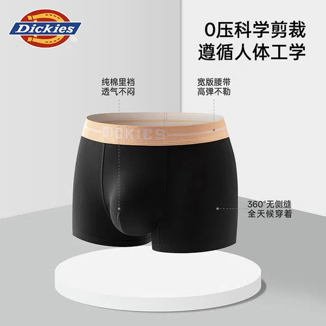 Dickies 7A 3