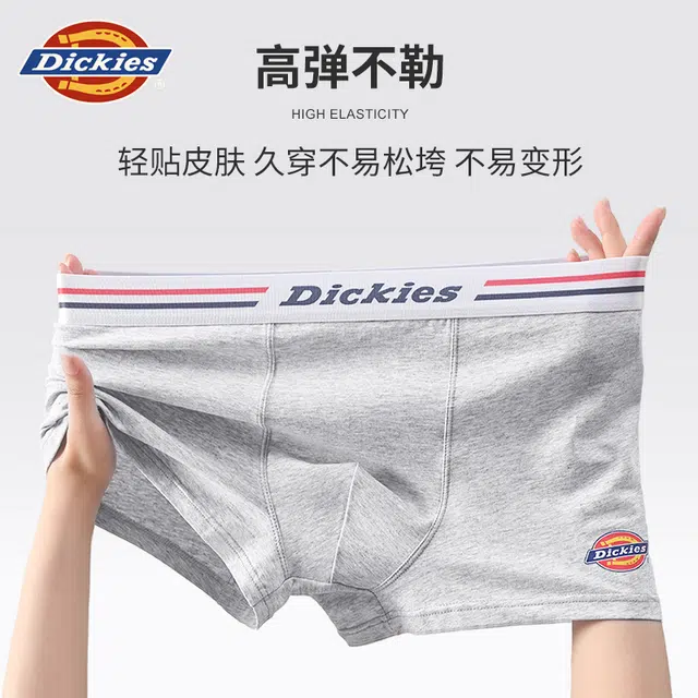 Dickies logo