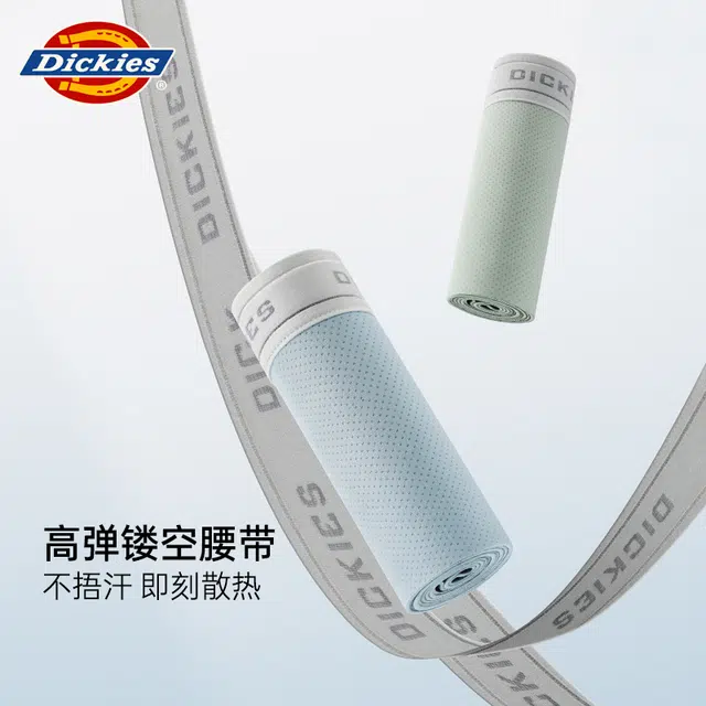 Dickies 3