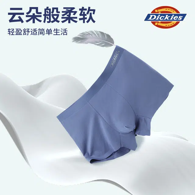 Dickies 3
