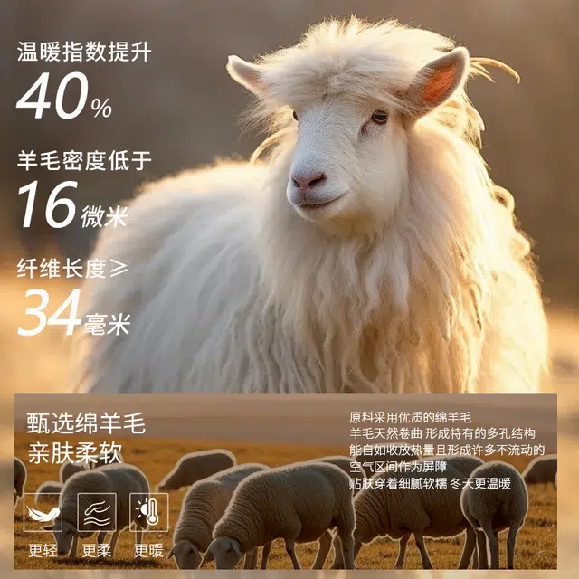 棉基因 绵羊毛贴肤柔软锁温拼接蕾丝设计修身显瘦纯色气质百搭打底保暖套装 女款