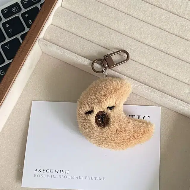5cm