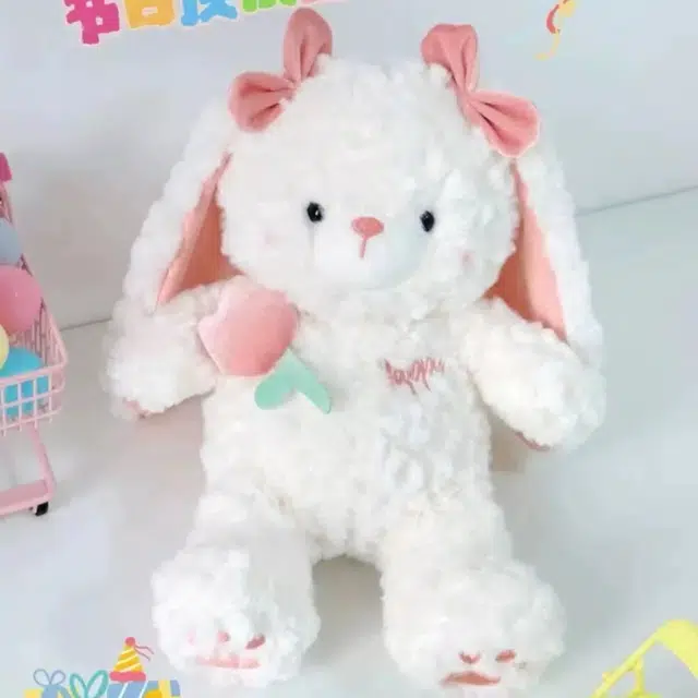 25cm