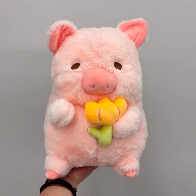 30cm
