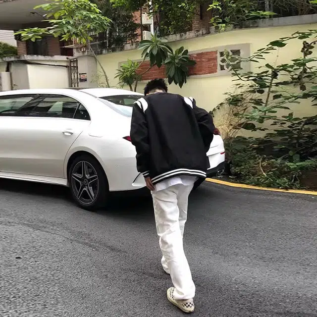VIPGOOSE