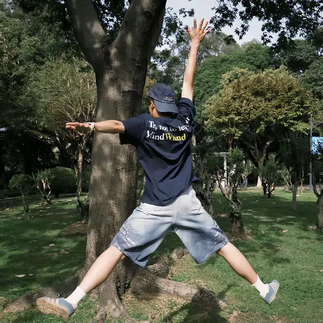 VIPGOOSE T