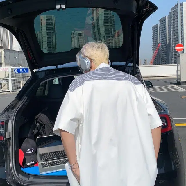 VIPGOOSE