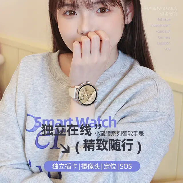 SAE app WiFiGPS