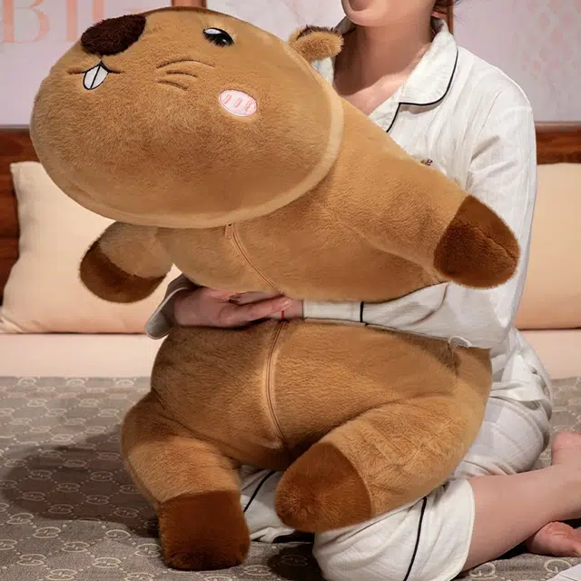 60cm80cm105cm