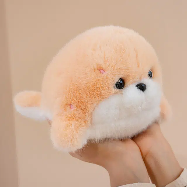 26cm