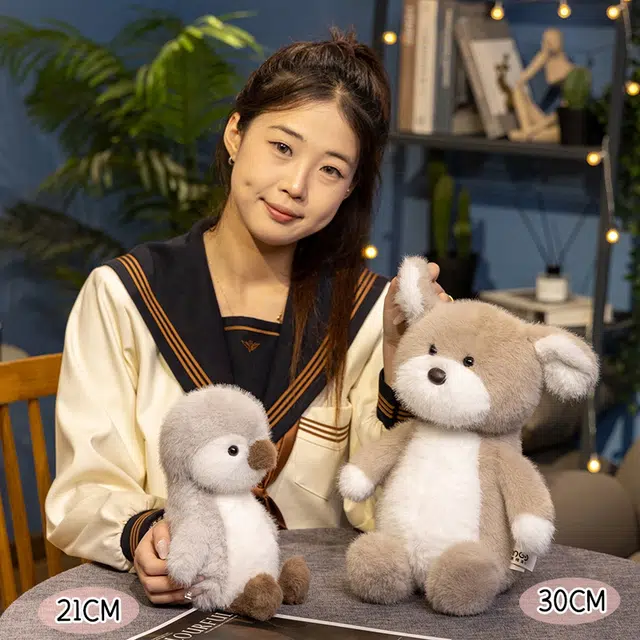 21cm30cm