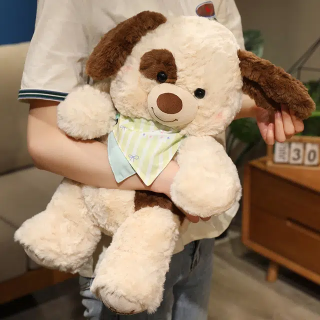 25cm35cm