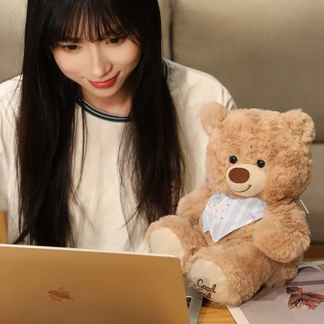 25cm35cm