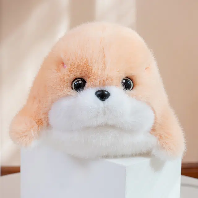 26cm