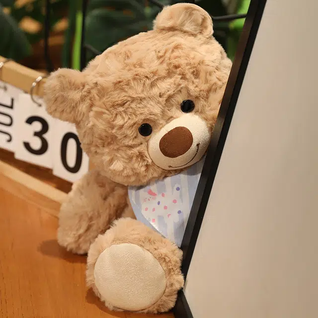 25cm35cm