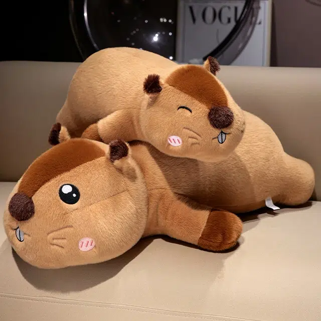 60cm80cm105cm