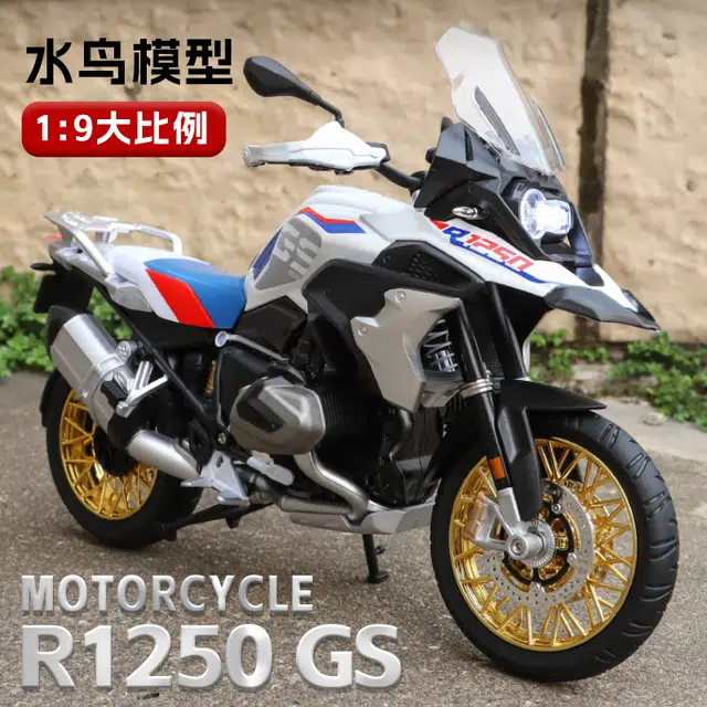 R1250GS 19