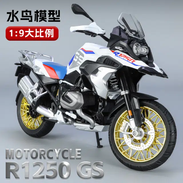 R1250GS 19