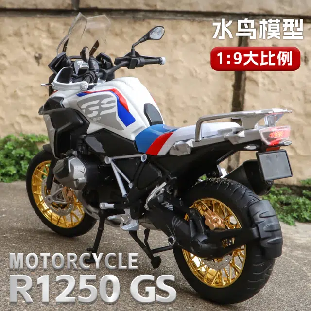 R1250GS 19