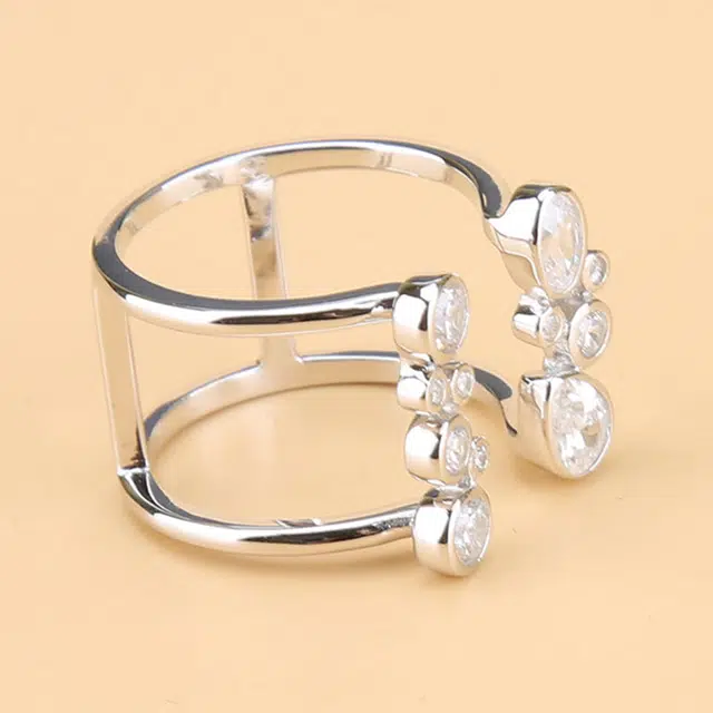 DaisyFellowes DF S925 ins AY