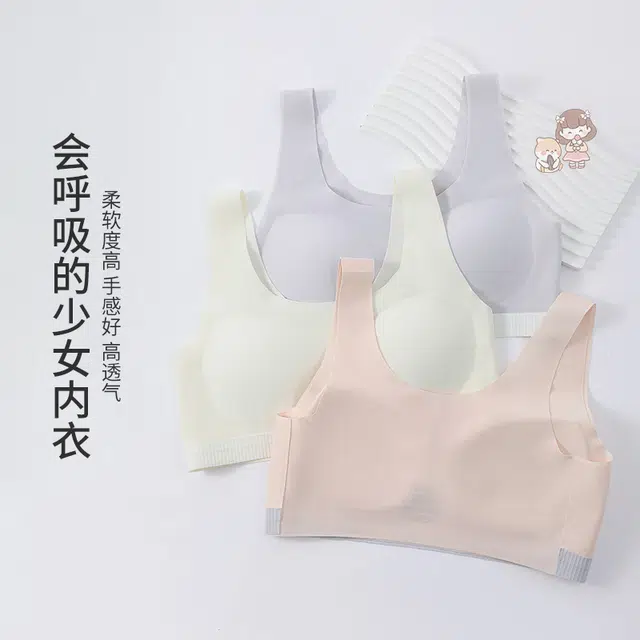 蒄趣 舒适简约百搭无痕背心运动防滑休闲文胸 女款 组合装