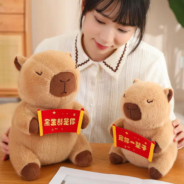 YOUMAI 23cm30cm