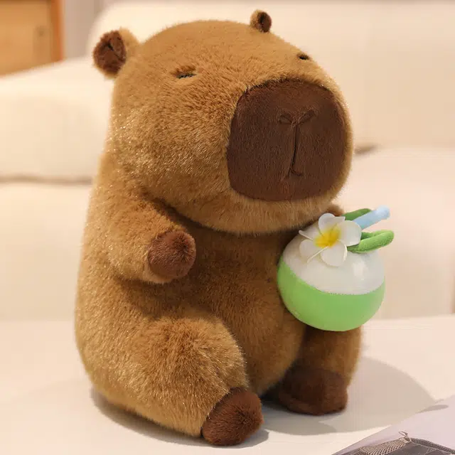 YOUMAI 22cm30cm