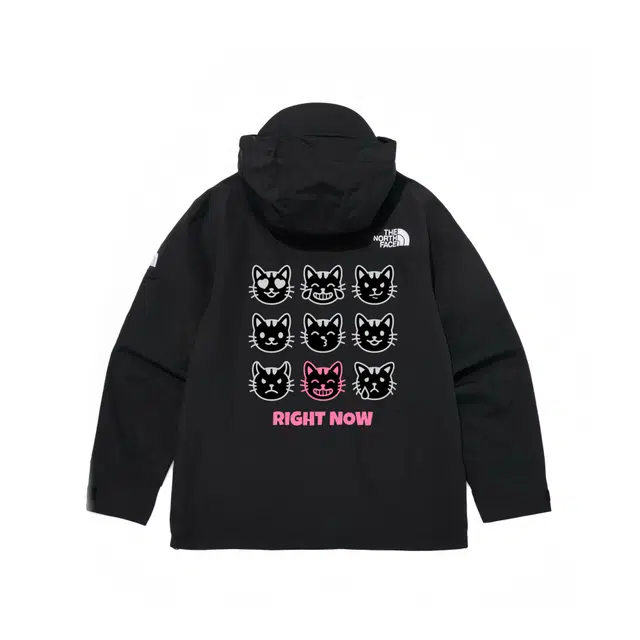 THE NORTH FACE MARTIS LOGO