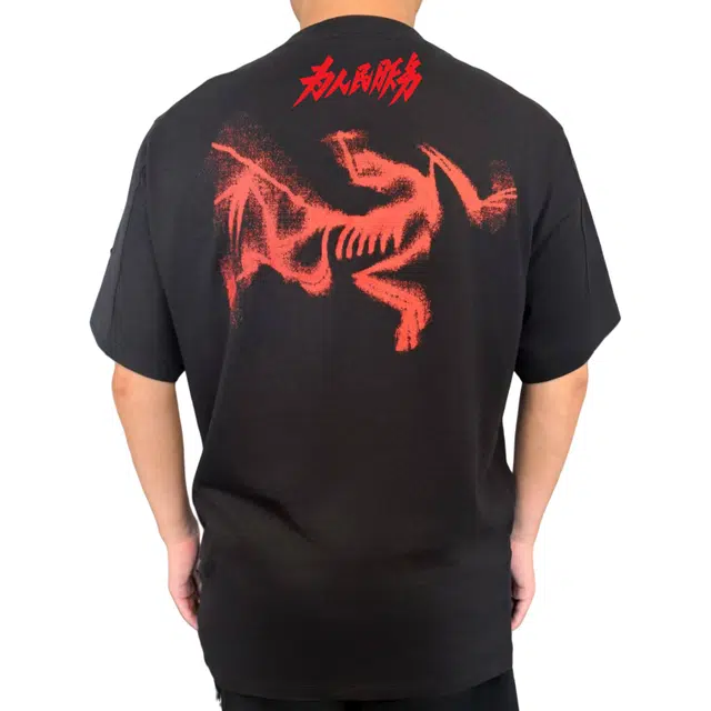 Arcteryx KRAGG SLLogoT