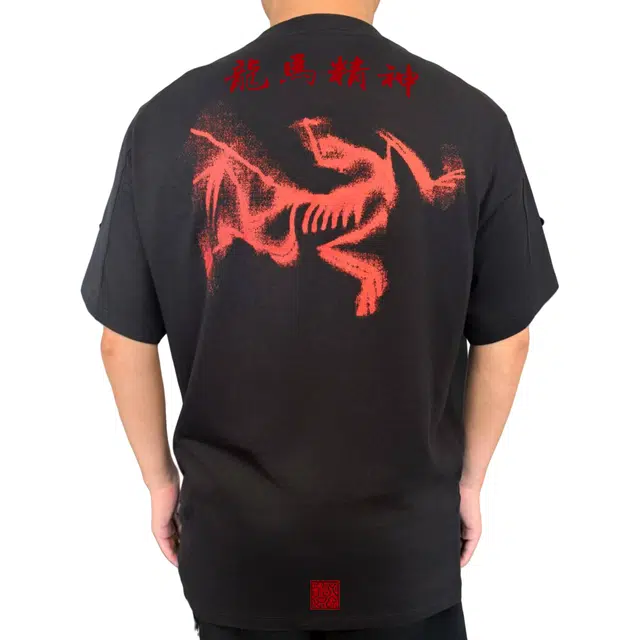 Arcteryx KRAGG SL LogoT