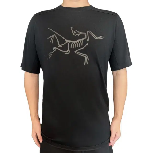 Arcteryx Ionia Merino Wool logoT