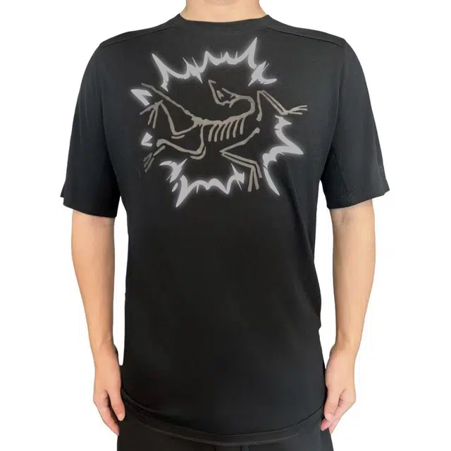 Arcteryx Ionia Merino Wool BOOMlogoT