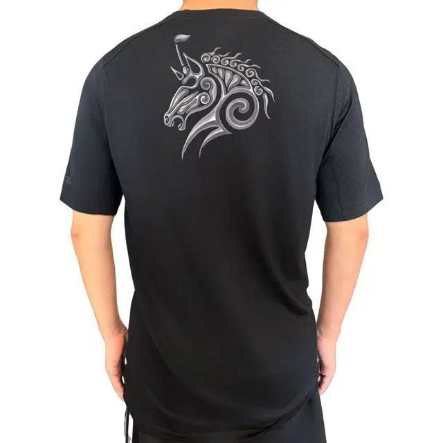 Arcteryx Ionia Merino Wool logoT