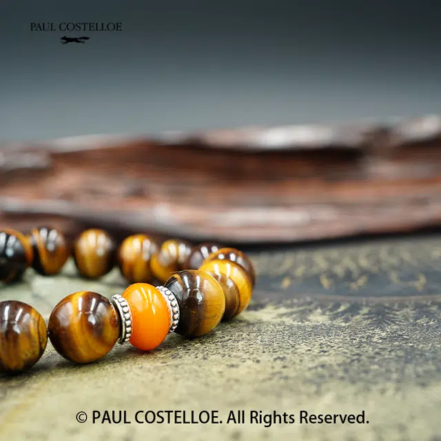 PAUL COSTELLOE
