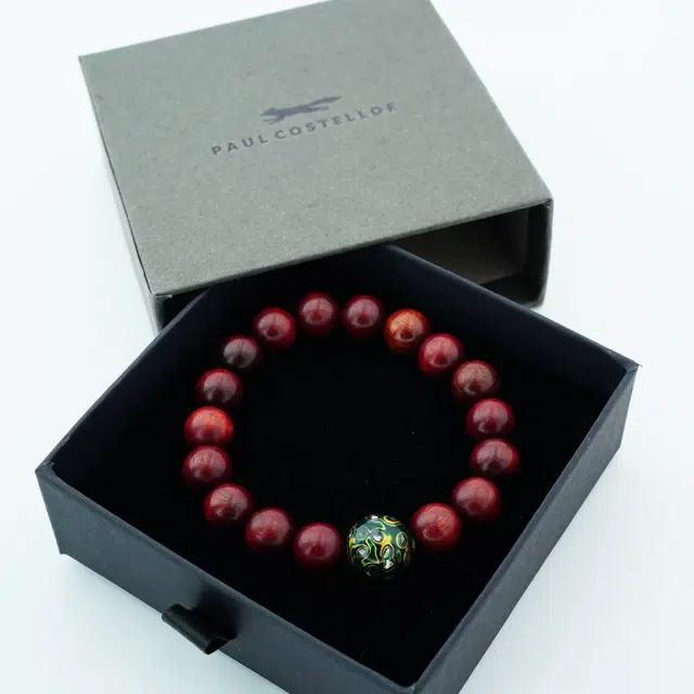 PAUL COSTELLOE