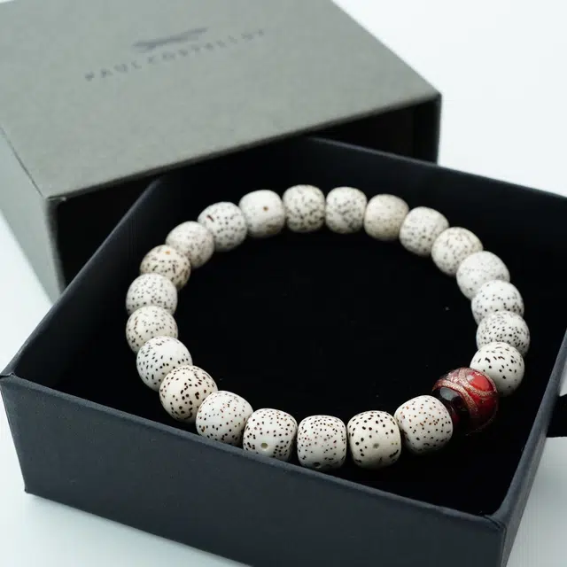 PAUL COSTELLOE