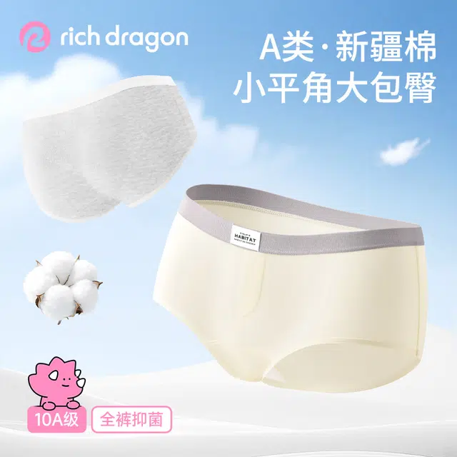 Rich Dragon A10A